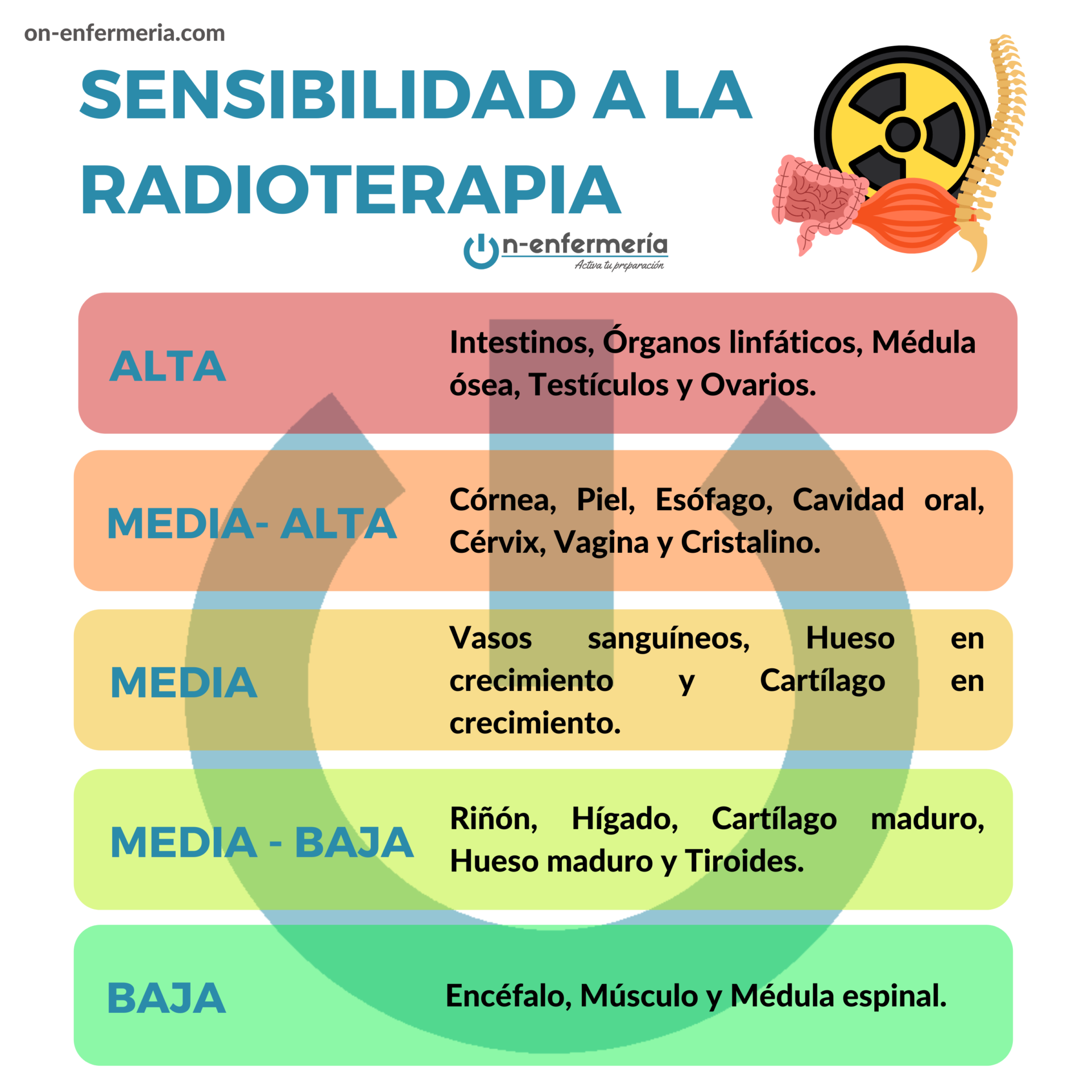 Infografía Sensibilidad a la radioterapia