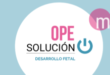Imagen destacada - Pregunta de examen OPE Matrona - Desarrollo fetal
