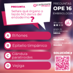 onenfermeria-endodermo-simulacrosope