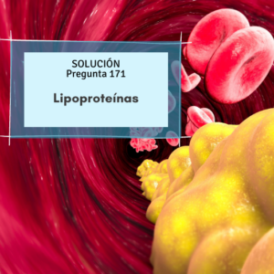 lipoproteínas-simulacros-ope-adolescencia