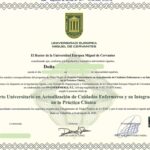 Modelo Título Experto Enfermería