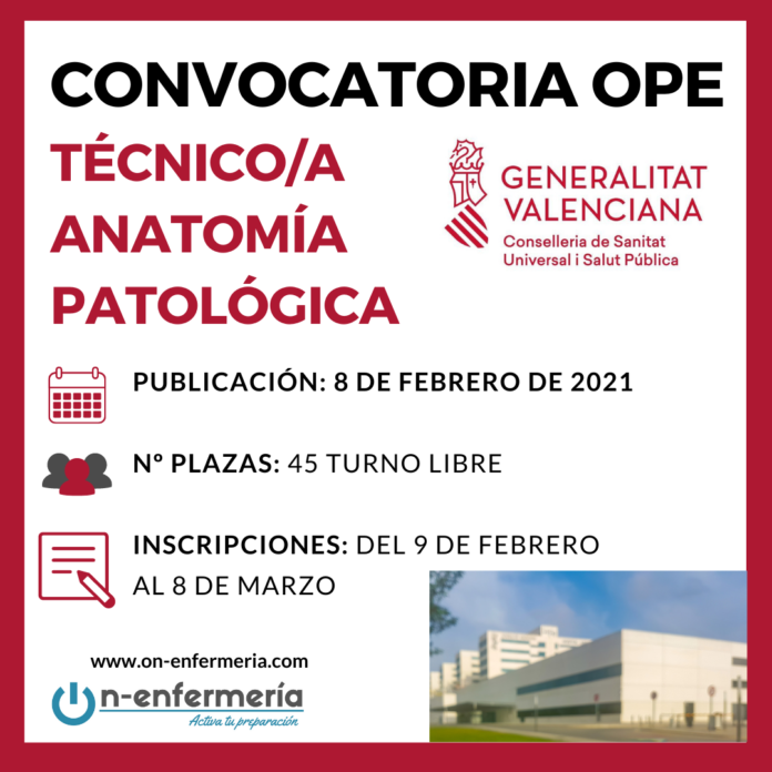 convocatoria anatomía patológica valencia convocatoria técnico anatomía patológica Valencia
