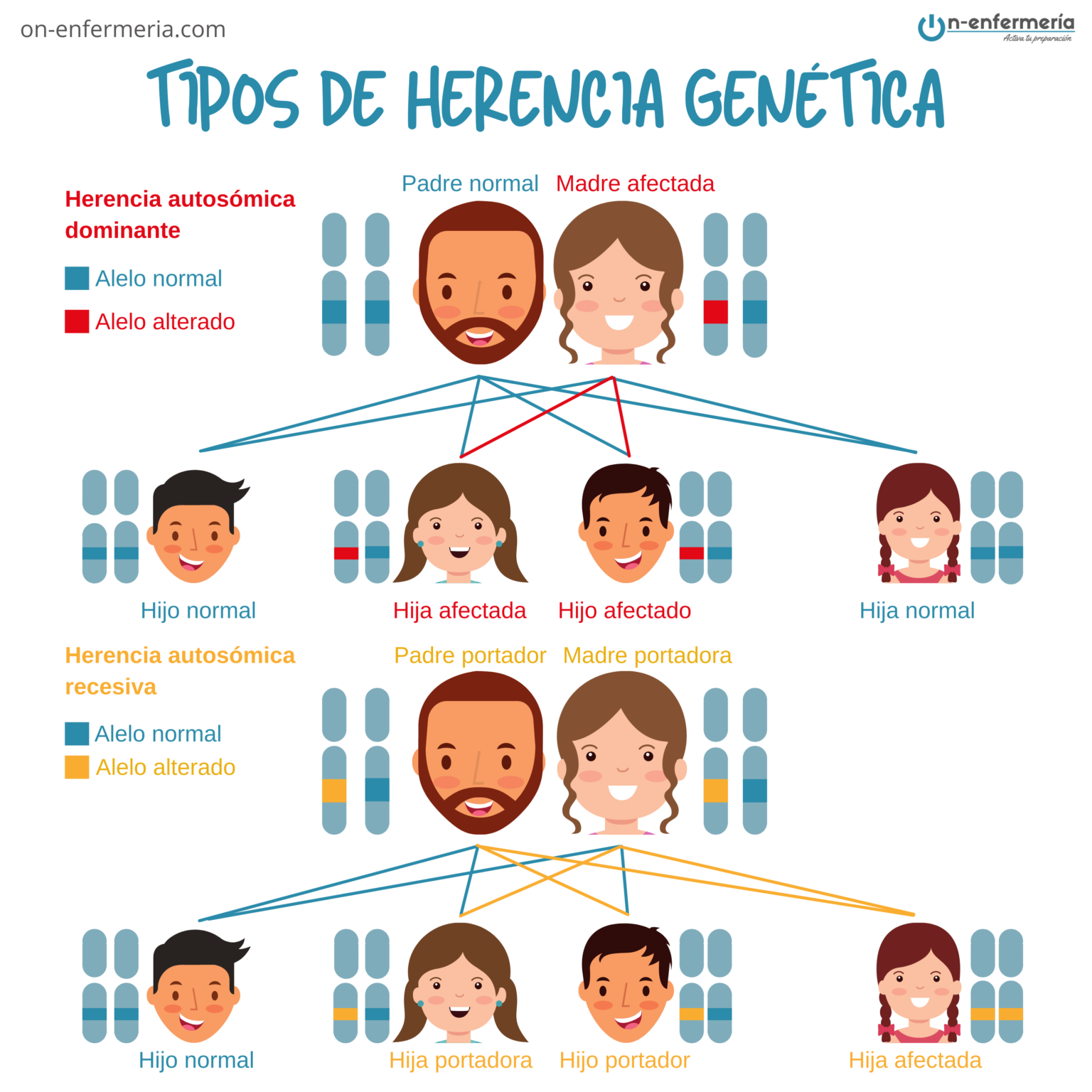 Pregunta examen OPE Enfermería nº 199: Genética | Anatomo-fisiología