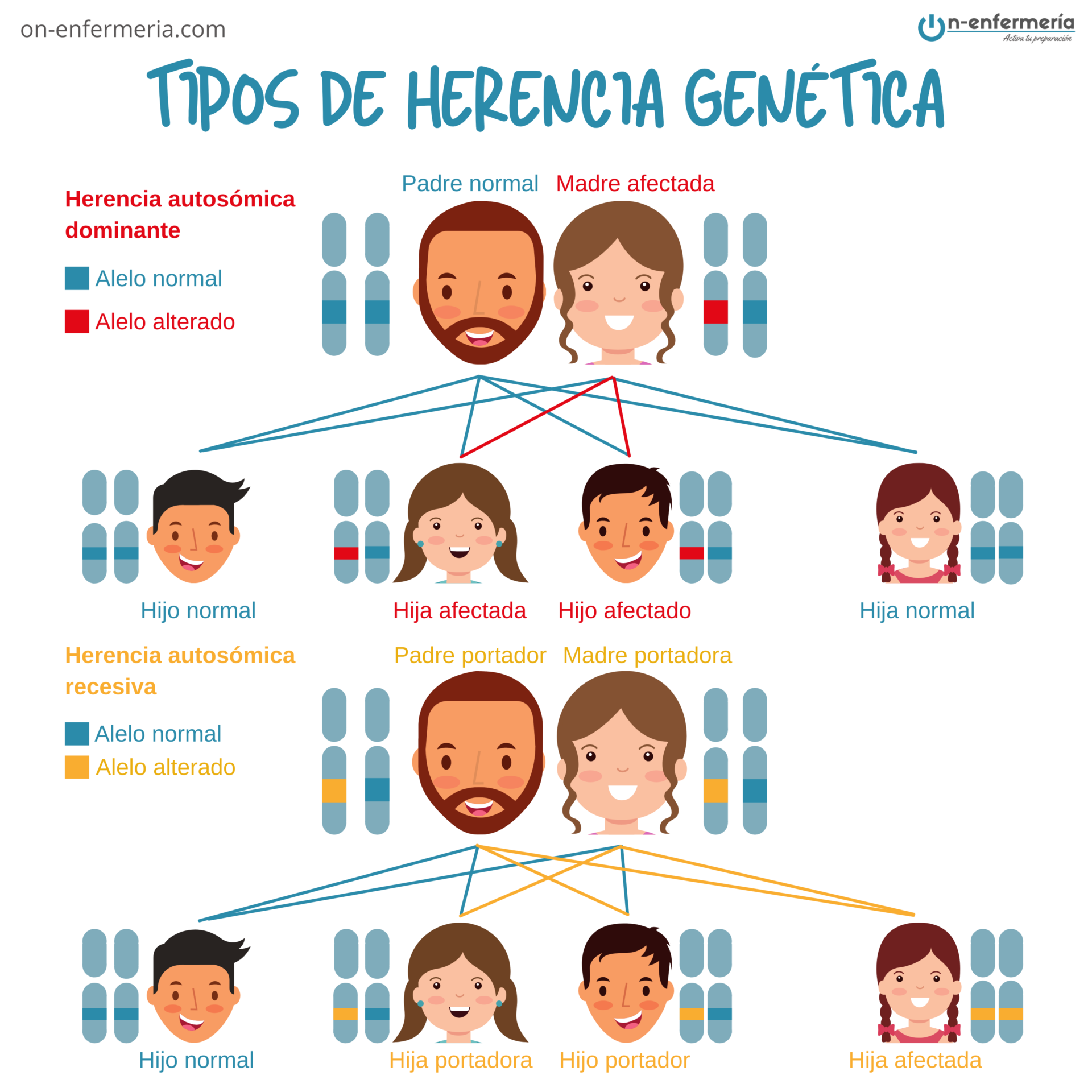 Infografía Tipos de herencia genética