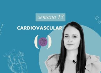 cardiovascular: orientaciones generales