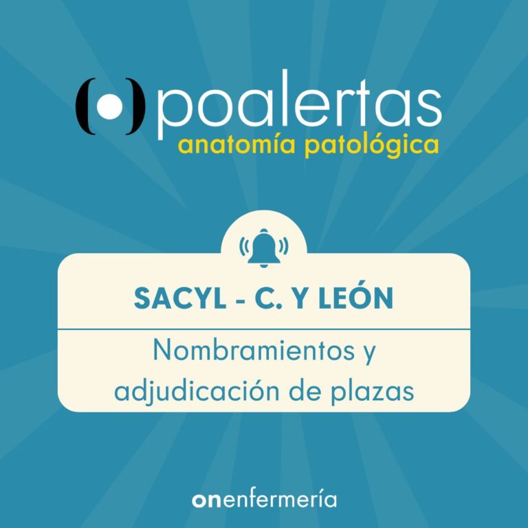 11/12/2024. SACYL CASTILLA Y LEÓN: Nombramientos y adjudicación de plazas