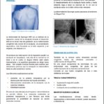 Temario Fisioterapia interior