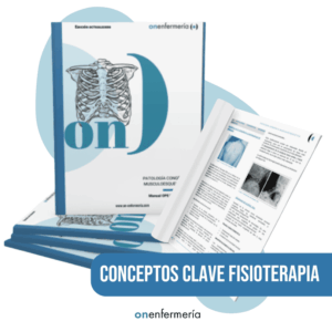 CONCEPTOS CLAVE OPOSICIONES FISIOTERAPEUTAS